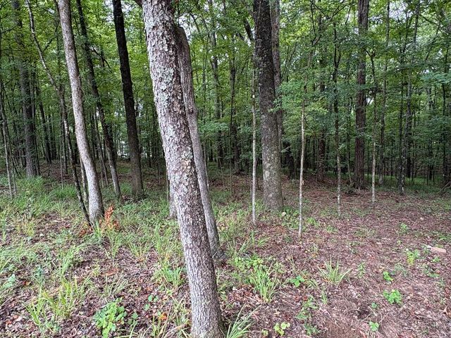 1925 Lee Road 0288, Smiths Station, AL 36877