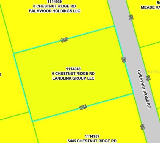Lot 194 CHESTNUT RIDGE ROAD, Dade City, FL 33523