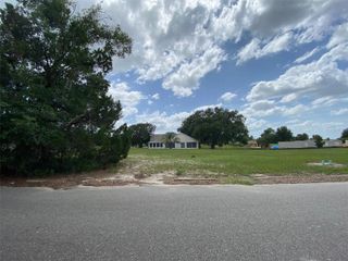 Lot 194 CHESTNUT RIDGE ROAD, Dade City, FL 33523