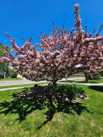 203 E Peckham STREET, Neenah, WI 54956