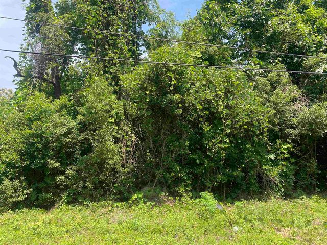 SE Osgood Avenue, Madison, FL 32340