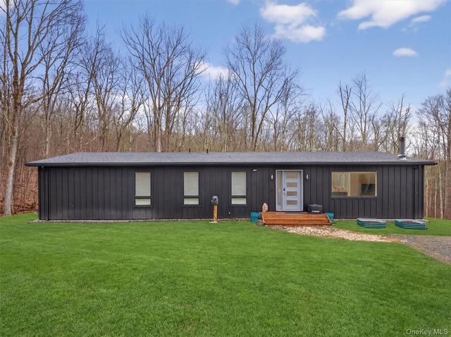 119 Lenni Lenape Road, Narrowsburg, NY 12764