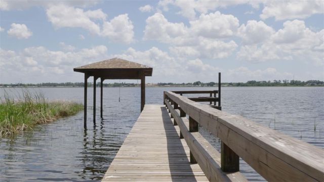 410 S RAMONA AVENUE, Lake Alfred, FL 33850