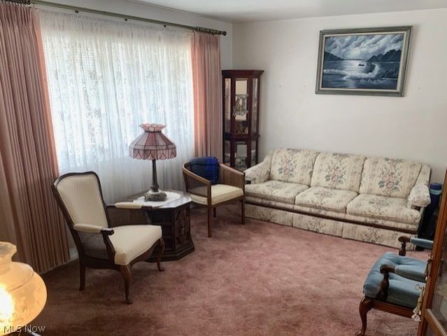 517 E Fernwood Drive, Toronto, OH 43964