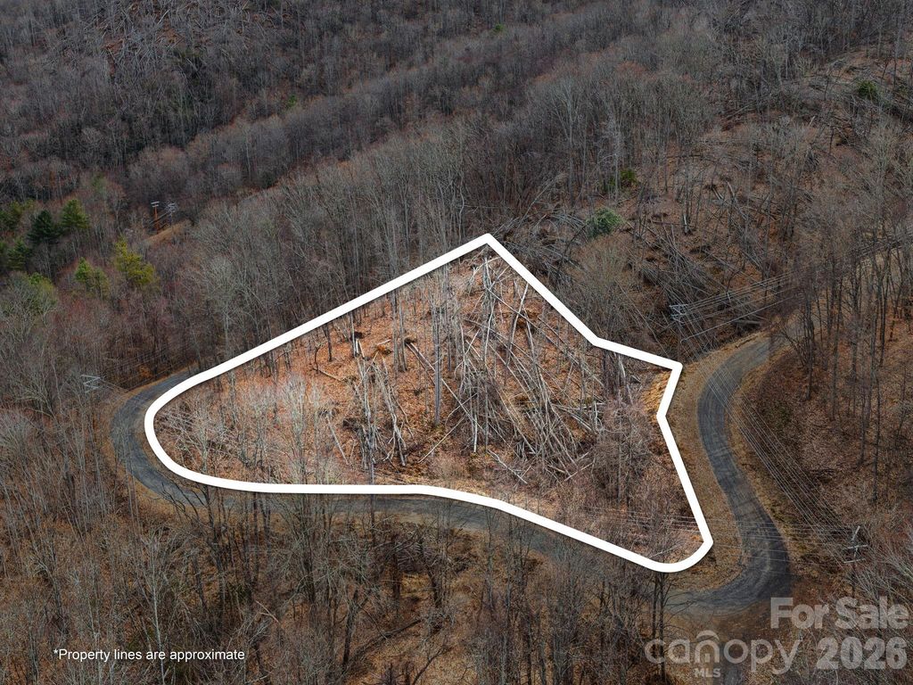 99999 Winterberry Road 11, Burnsville, NC 28714