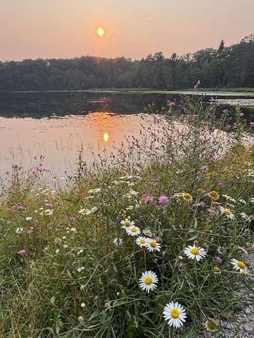 11495 W Tiger Cat Road, Hayward, WI 54843