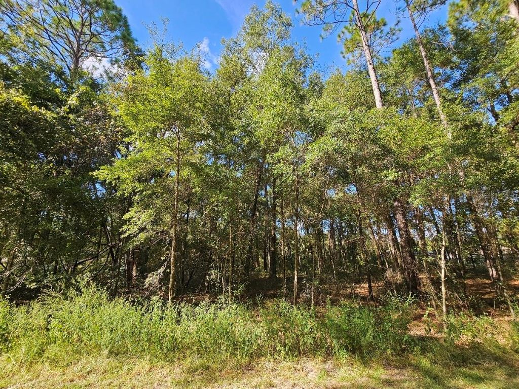 TBD SW 21ST PLACE, Ocala, FL 34481
