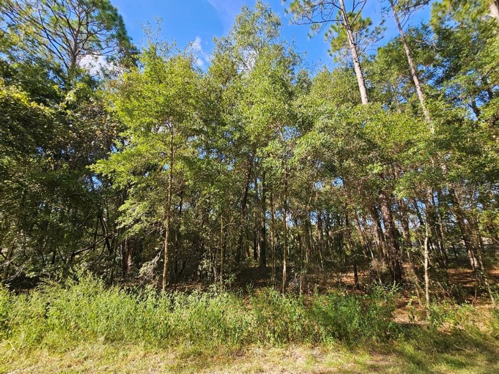 TBD SW 21ST PLACE, Ocala, FL 34481