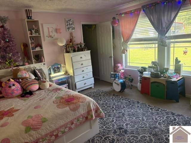 243 Washburn Rd, Benton, KY 42025