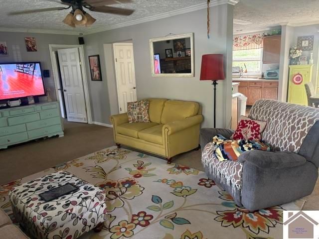 243 Washburn Rd, Benton, KY 42025