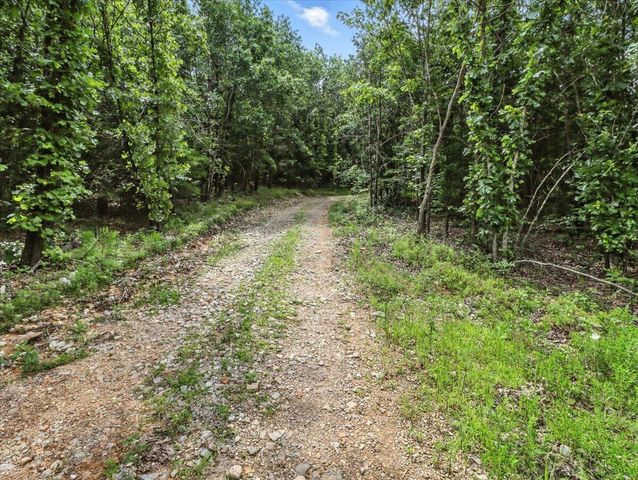 4290 Gravel Point Road Road, Mountain Grove, MO 65711