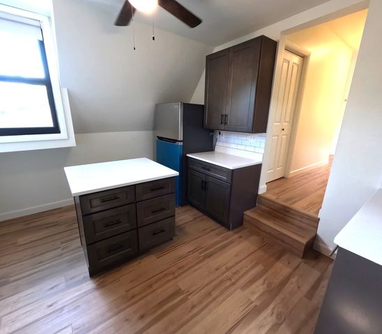 163 N Lombard Avenue 3, Oak Park, IL 60302