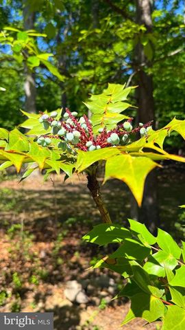 86 ROBIN LN, Harpers Ferry, WV 25425