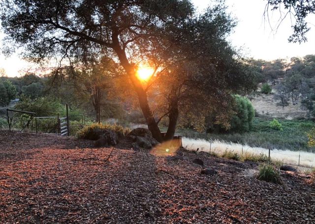 9290 Cramer Rd, Auburn, CA 95602