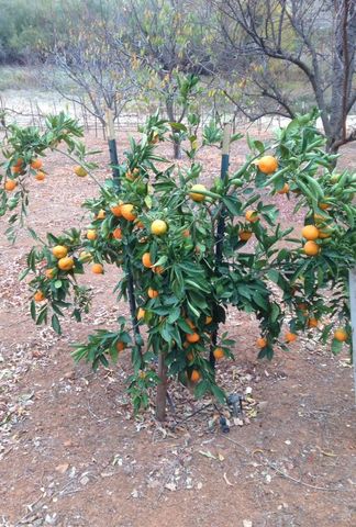 9290 Cramer Rd, Auburn, CA 95602