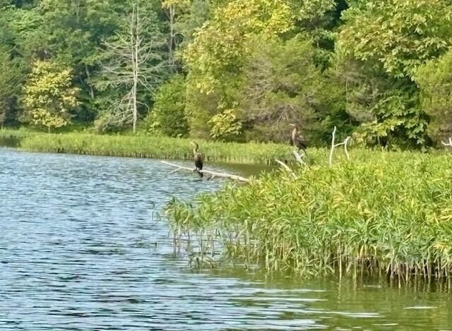 119 Hickory Grv Court, Georgetown, KY 40324