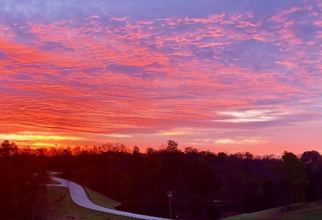 119 Hickory Grv Court, Georgetown, KY 40324