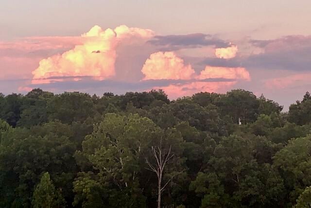 119 Hickory Grv Court, Georgetown, KY 40324