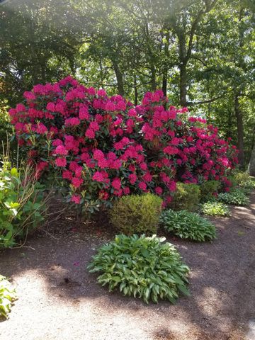 85 Clamshell Cove Road, Cotuit, MA 02635