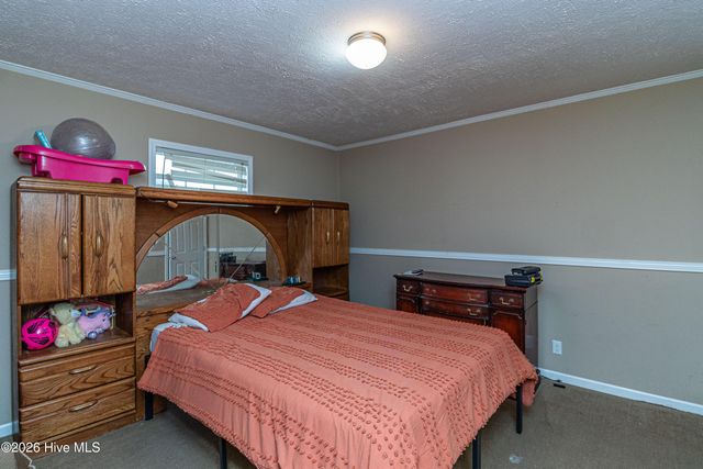 239 Stanley Chapel Church Road, Dudley, NC 28333