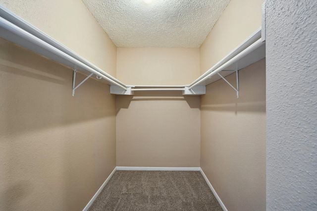 4539 Pioneer Trail Street, Sugar Land, TX 77479