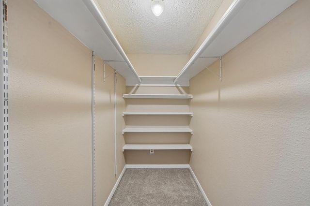 4539 Pioneer Trail Street, Sugar Land, TX 77479
