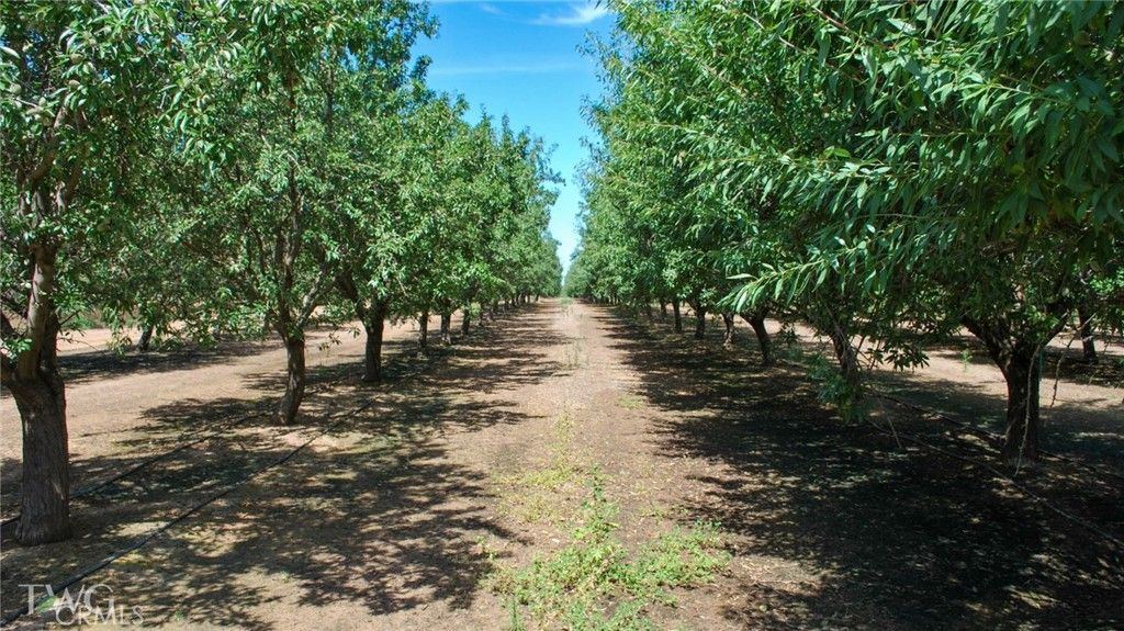 Image 11 of property listing at 0 Road 26, Chowchilla, CA 93610