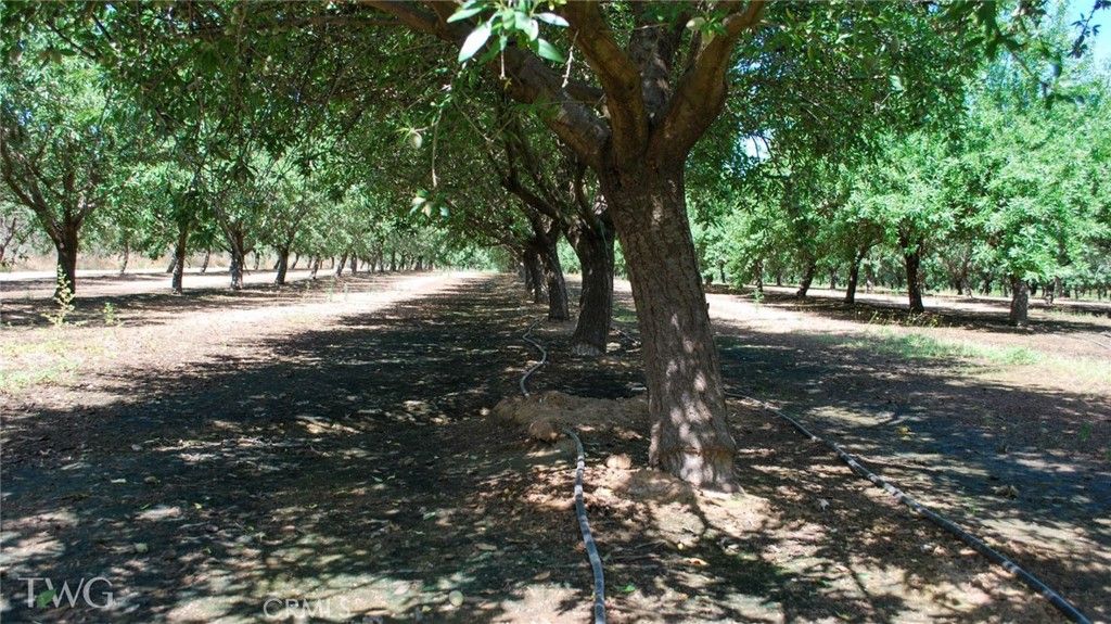 Image 13 of property listing at 0 Road 26, Chowchilla, CA 93610