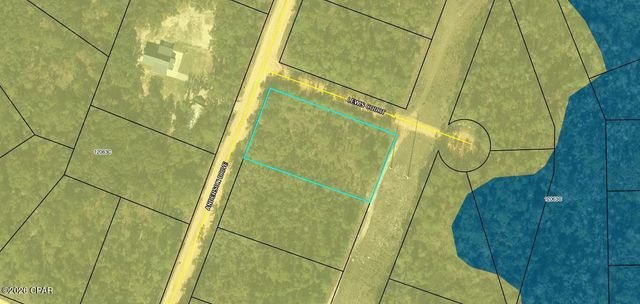 00 Lewis Court, Alford, FL 32420