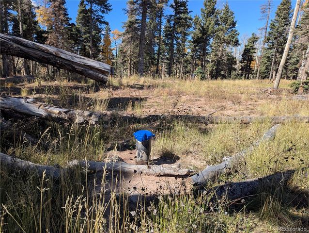 2448 Petito Drive, Fort Garland, CO 81133