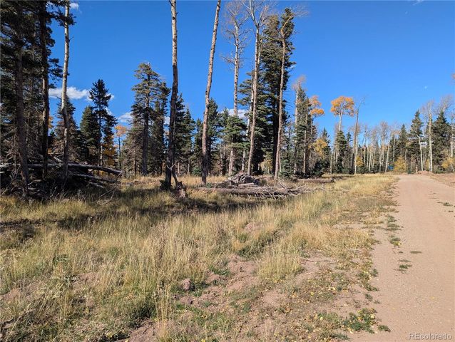 2448 Petito Drive, Fort Garland, CO 81133