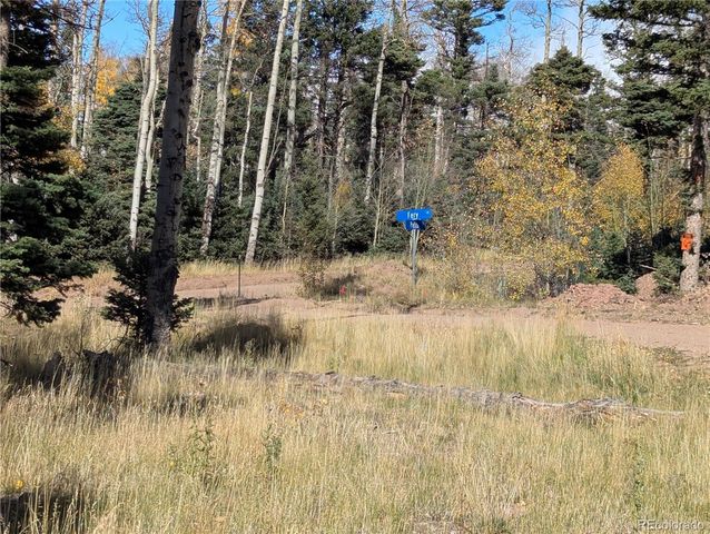 2448 Petito Drive, Fort Garland, CO 81133