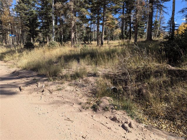 2448 Petito Drive, Fort Garland, CO 81133