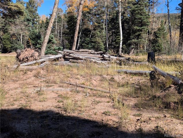 2448 Petito Drive, Fort Garland, CO 81133