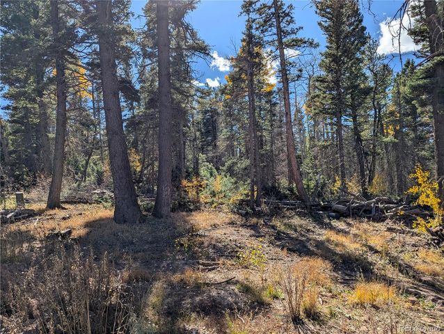 2448 Petito Drive, Fort Garland, CO 81133