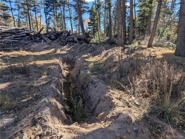 2448 Petito Drive, Fort Garland, CO 81133