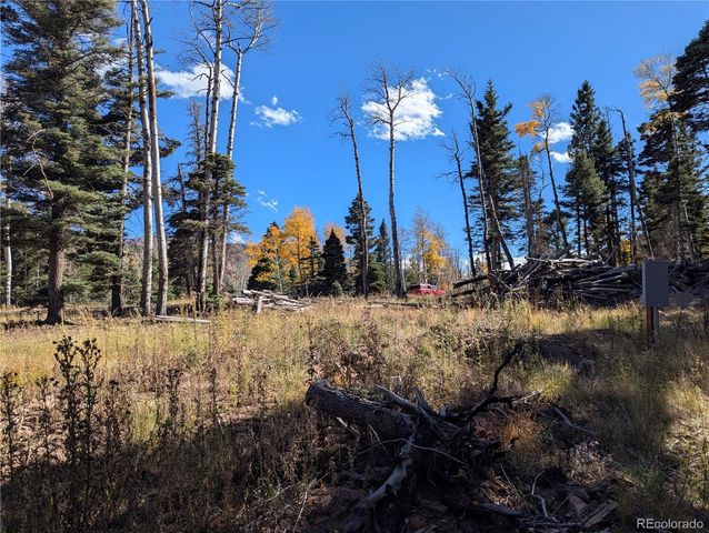 2448 Petito Drive, Fort Garland, CO 81133