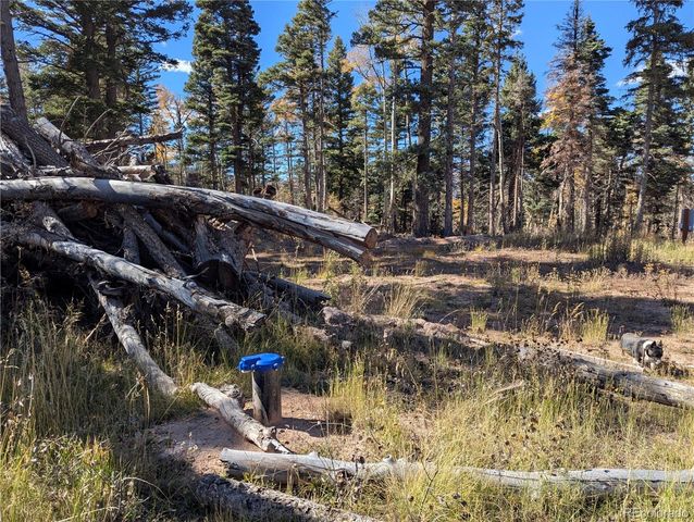 2448 Petito Drive, Fort Garland, CO 81133