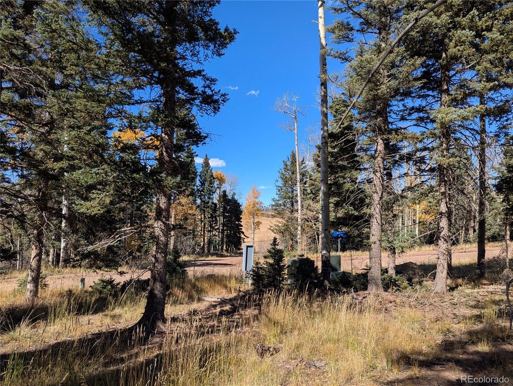 2448 Petito Drive, Fort Garland, CO 81133