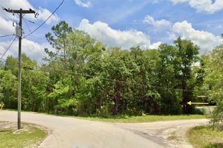 LOT 1 PALM DRIVE, Eustis, FL 32736