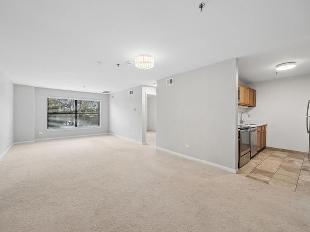 3265 Kirchoff Road 217, Rolling Meadows, IL 60008