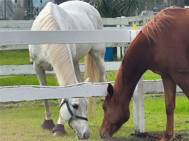 260 CROWN OAKS WAY 102, Longwood, FL 32779