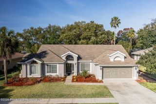 1269 Masada Lane, Spring Hill, FL 34608
