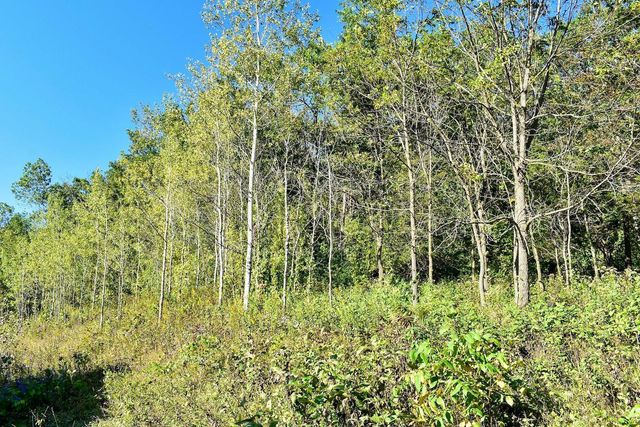 24242 Pfeiffer Hill Road, Wilson Twp, MN 55987