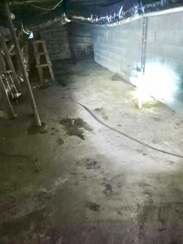 3308 Camargo Road, Mt Sterling, KY 40353