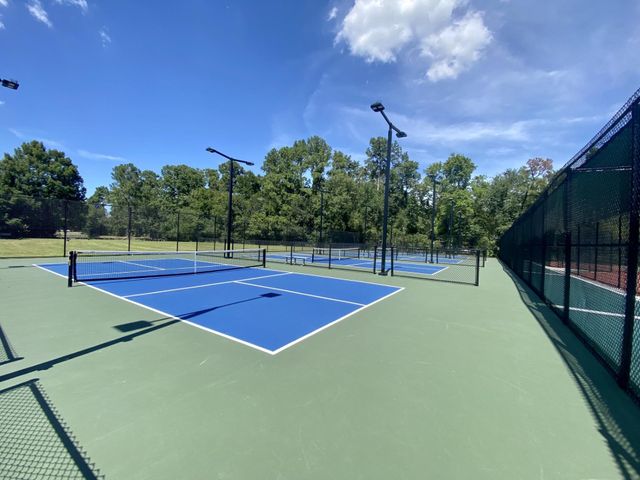 3500 Tangle Brush Drive 9, The Woodlands, TX 77381