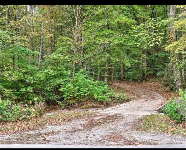 3444 Cooper Nicholson Rd, Pleasant View, TN 37146