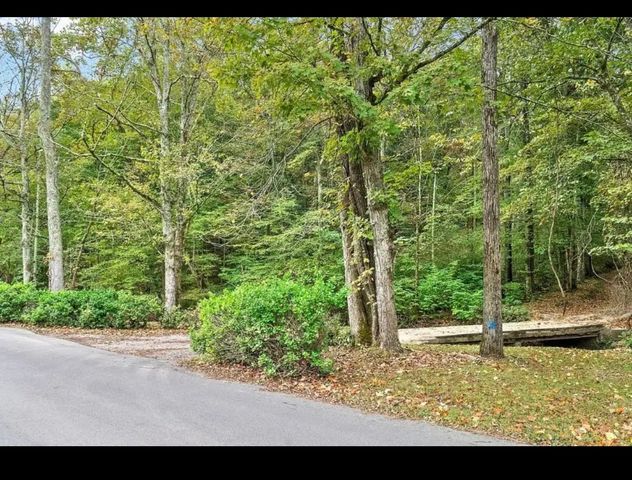 3444 Cooper Nicholson Rd, Pleasant View, TN 37146