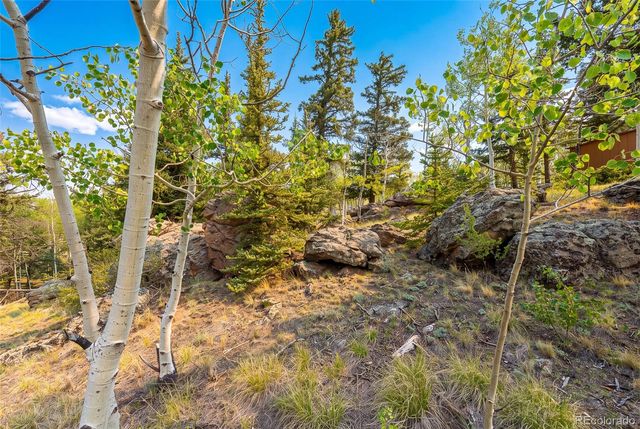 203 Strongbox Court, Jefferson, CO 80456
