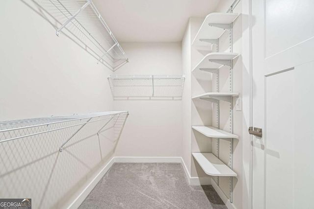 1013 CLIMBING ROSE Way, Mcdonough, GA 30253